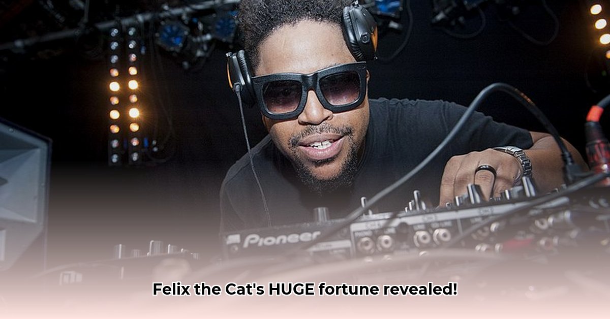felix-da-housecat-net-worth